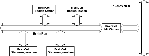 Brainbus.gif (5149 Byte)